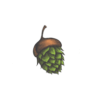 Summer Jam Craft Beer Sticker by Big Grove Brewery