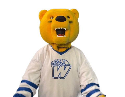 Bear Reaction Sticker by Western New England University