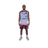 Three Points Basketball Sticker by Iserlohn Kangaroos