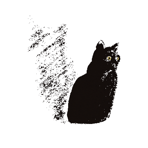 dokinaare giphyupload cat black cat catman Sticker