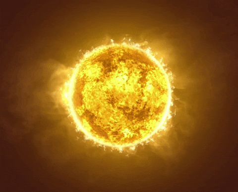 sun GIF by Feist