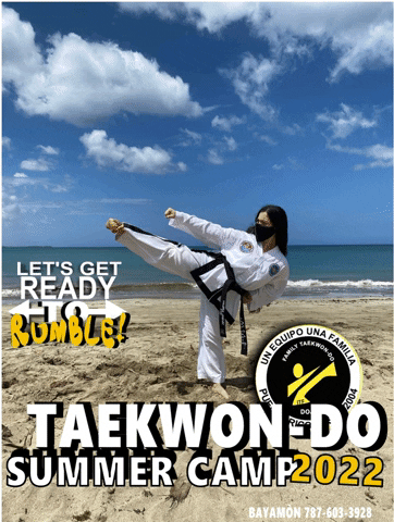 stgomayra giphygifmaker summercamp bayamon taekwondopr GIF