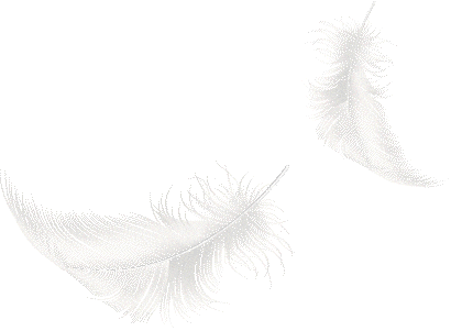 Feather Sticker by Always Brand Europe