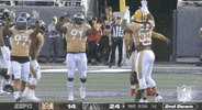 National Football League GIF by NFL