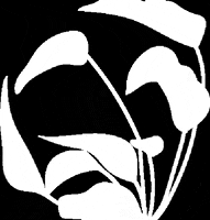 Monalisaclv plants monalisa GIF