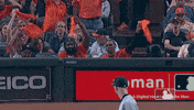 Harden Major League Baseball GIF by MLB
