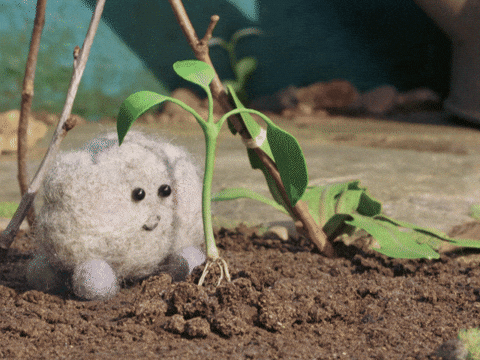 Dieting Fresh Food GIF by Tweedy & Fluff