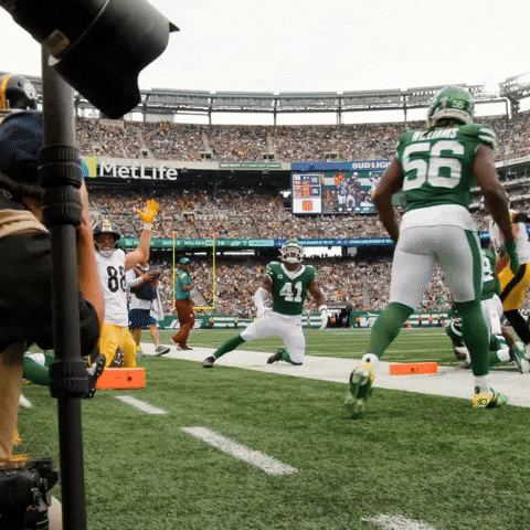 Excited Celebration GIF by Pittsburgh Steelers