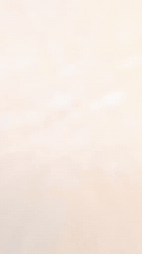 Cassie Fivenightsatfreddys GIF by Youtooz