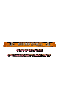 Shakhtar Donetsk Sticker by UltrasInPeluze