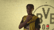 Come Borussia Dortmund GIF by Bundesliga