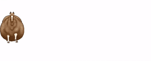 heidigracebells  GIF