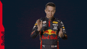 Red Bull Applause GIF by Red Bull Racing