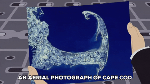 cape cod pictures GIF by South Park 