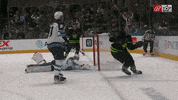 Roope Hintz Win GIF by Dallas Stars