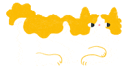 Cat Pet Sticker by Henri Campeã