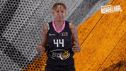 Sport Basketball GIF by Basket_fi