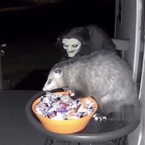 Scared Trick Or Treat GIF by Respective