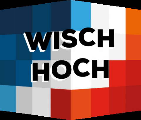 schleswig-holstein cube GIF