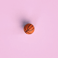 basketball GIF by Eva Cremers