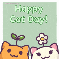 International Cat Day GIF by Castaways
