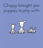 chippythedog love dog puppy dogs GIF