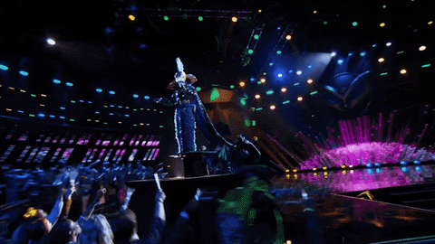 fox tv GIF by The Masked Singer
