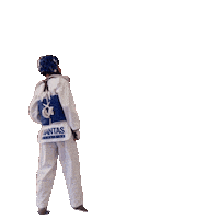 avantas fight sports yeah karate Sticker