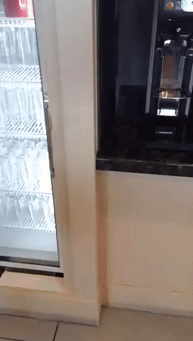 Pint Pulling Machine Seems to Offer the Perfect Pour