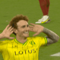 Premier League Soccer GIF by Norwich City Football Club
