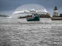 You Can Wow GIF by FranchiseONE.de