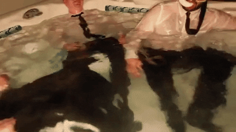 prawn GIF by Topshelf Records