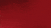 Proud France GIF by Bundesliga