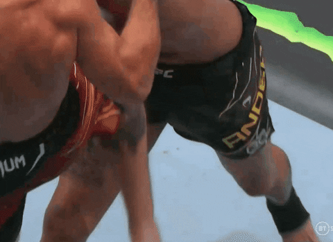 giphy.gif