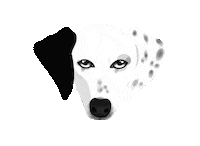 Dog Puppy Sticker