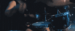 around the world and back concert GIF by State Champs