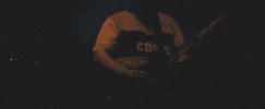around the world and back concert GIF by State Champs