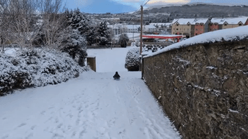  Child Sleds Down Snow-Covered Driveway