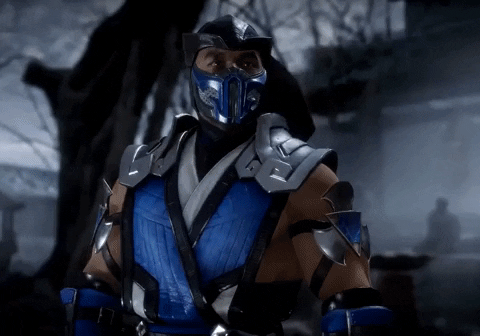 sub-zero mortal kombat 11 GIF