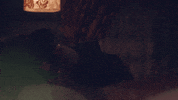 star on fox lol GIF by STAR