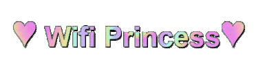 follow me princess Sticker