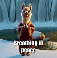 Inner Peace Mindfulness GIF by dalaillamazen