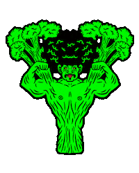 pranavegetariano food vegan comida veggie Sticker