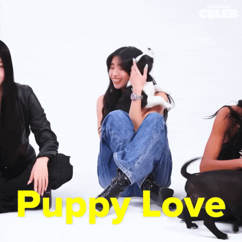 Girl Group Puppy GIF by BuzzFeed