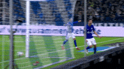 Happy Football GIF by FC Schalke 04