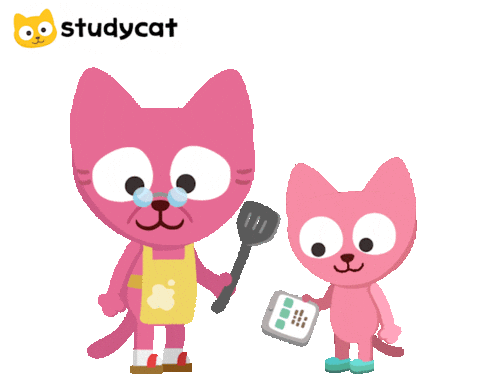 Cat Education Sticker by Studycat language learning for kids