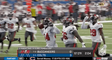Tampa Bay Buccaneers Football GIF by NFL