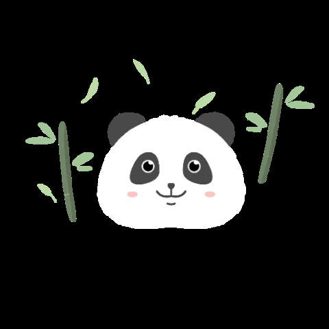 RobbinsCandleCo panda candle bamboo cute panda GIF