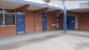 skate skateboarding GIF by KING OF THE ROAD