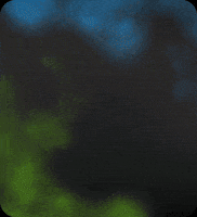 Novolar GIF by Patrimar Engenharia